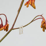 Venus Earrings