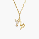 Capricorn Necklace